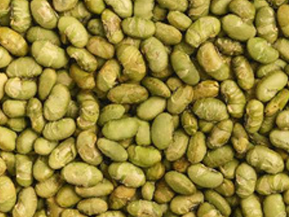 Edamame plain