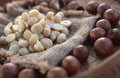 Macadamia nuts