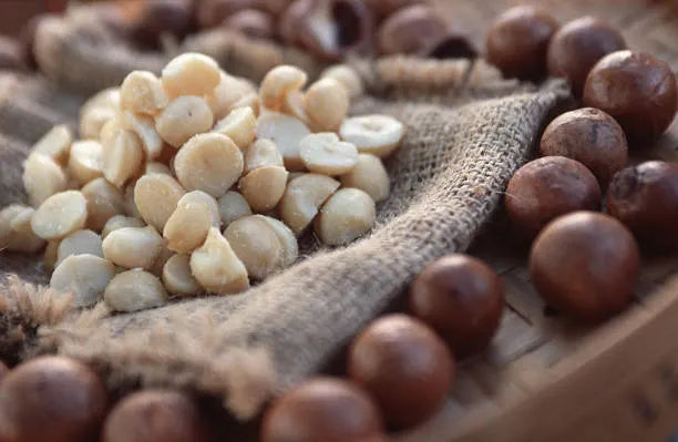 Macadamia nuts
