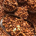 Pine nuts