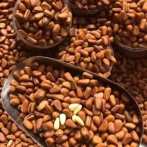 Pine nuts
